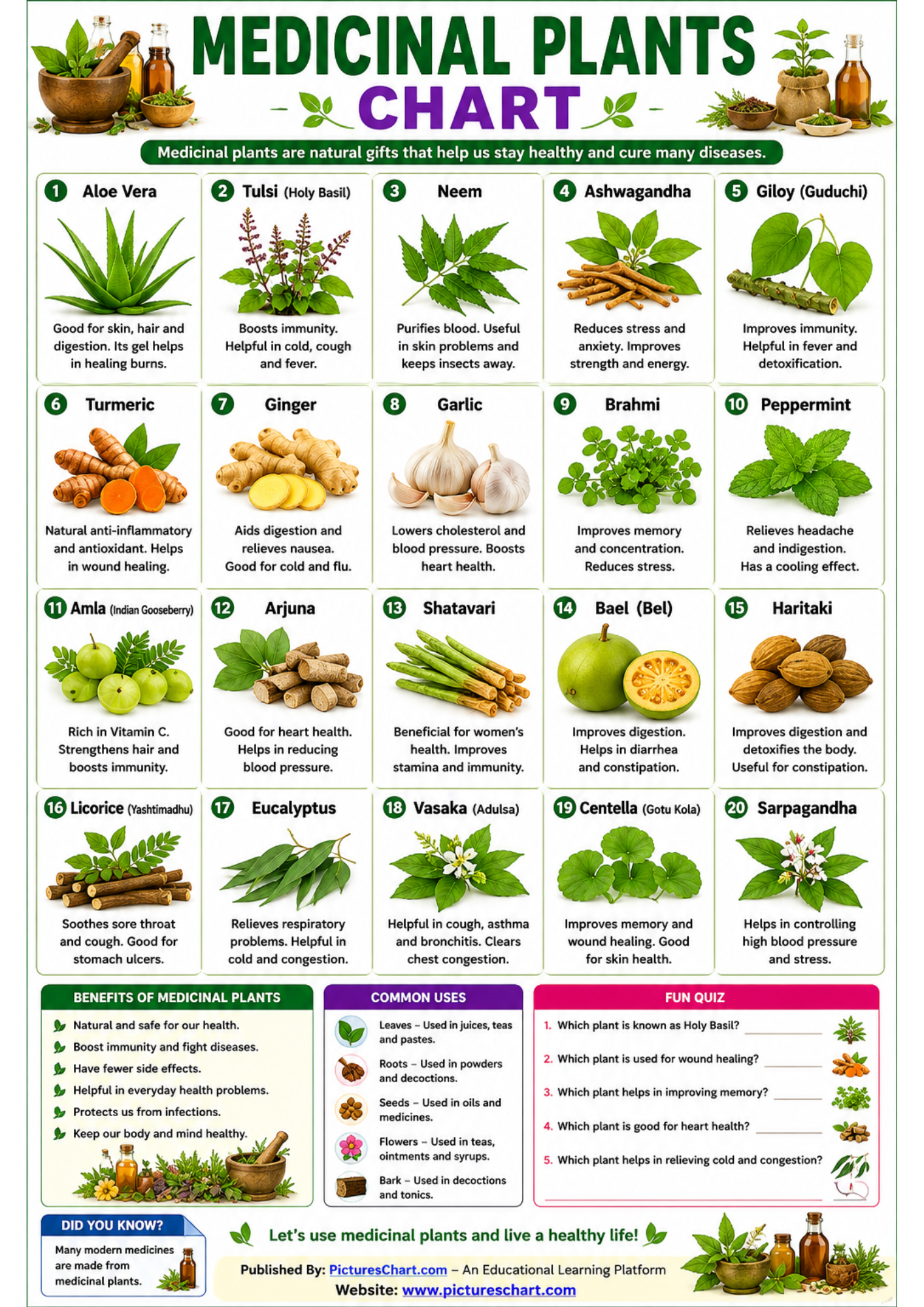 project medicinal plants chart with names