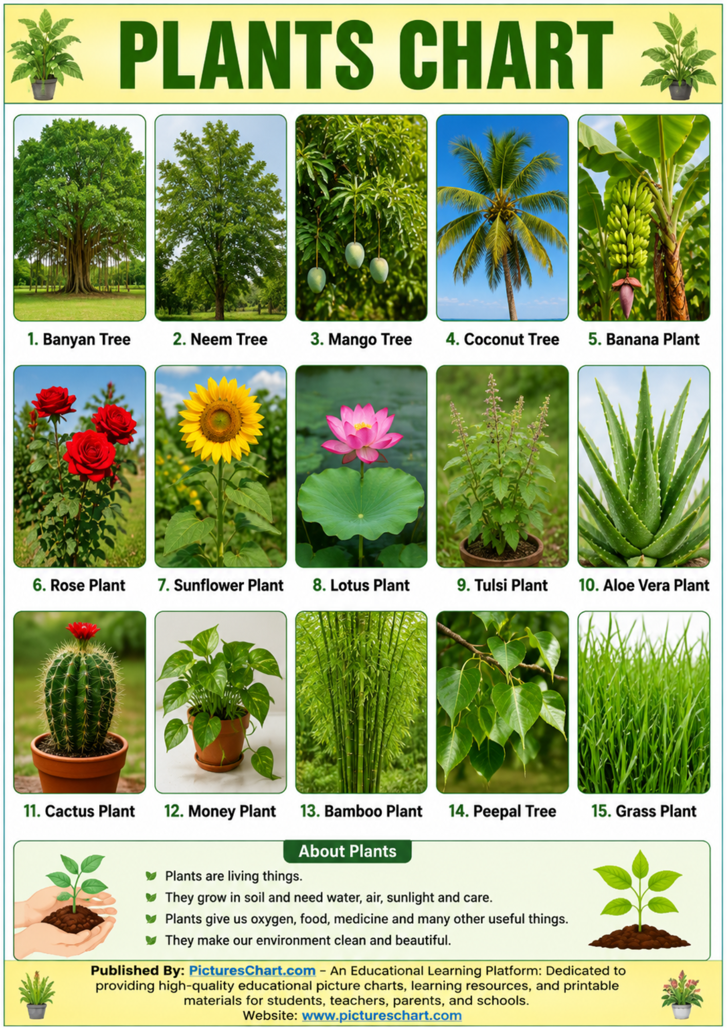 Plants Chart Learn Plant