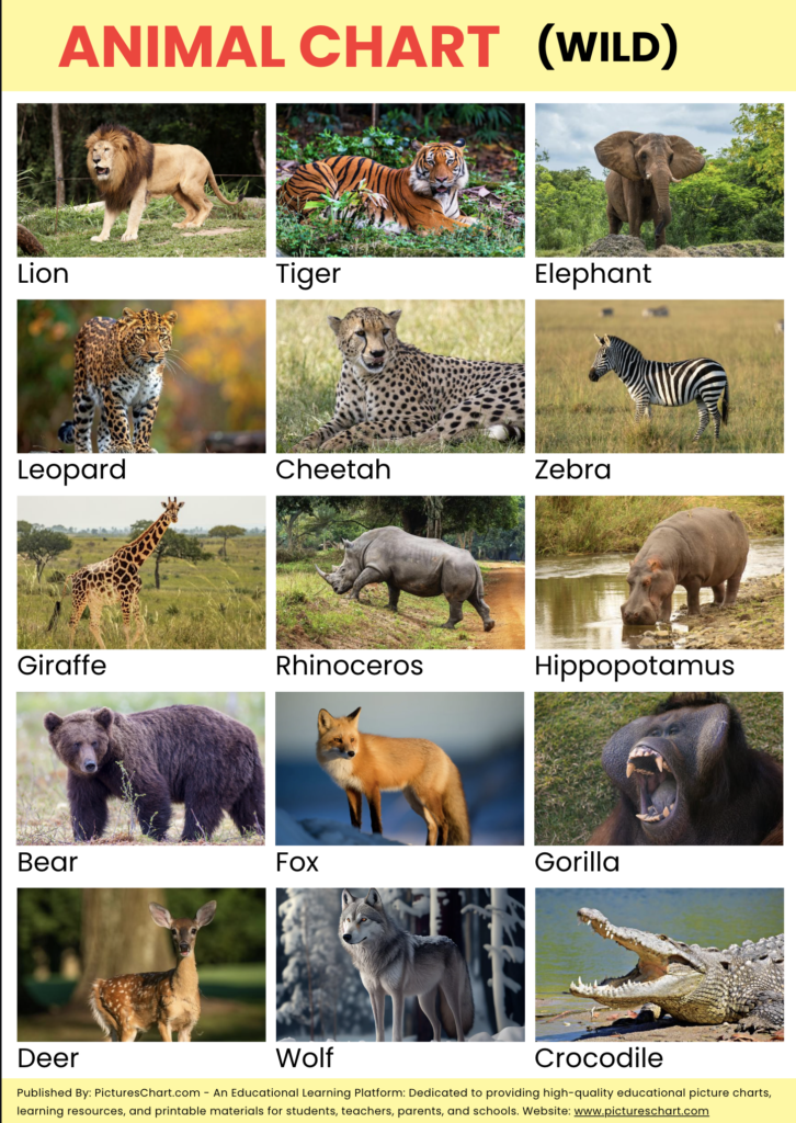Download Wild Animal Chart – High Quality Pictures Chart