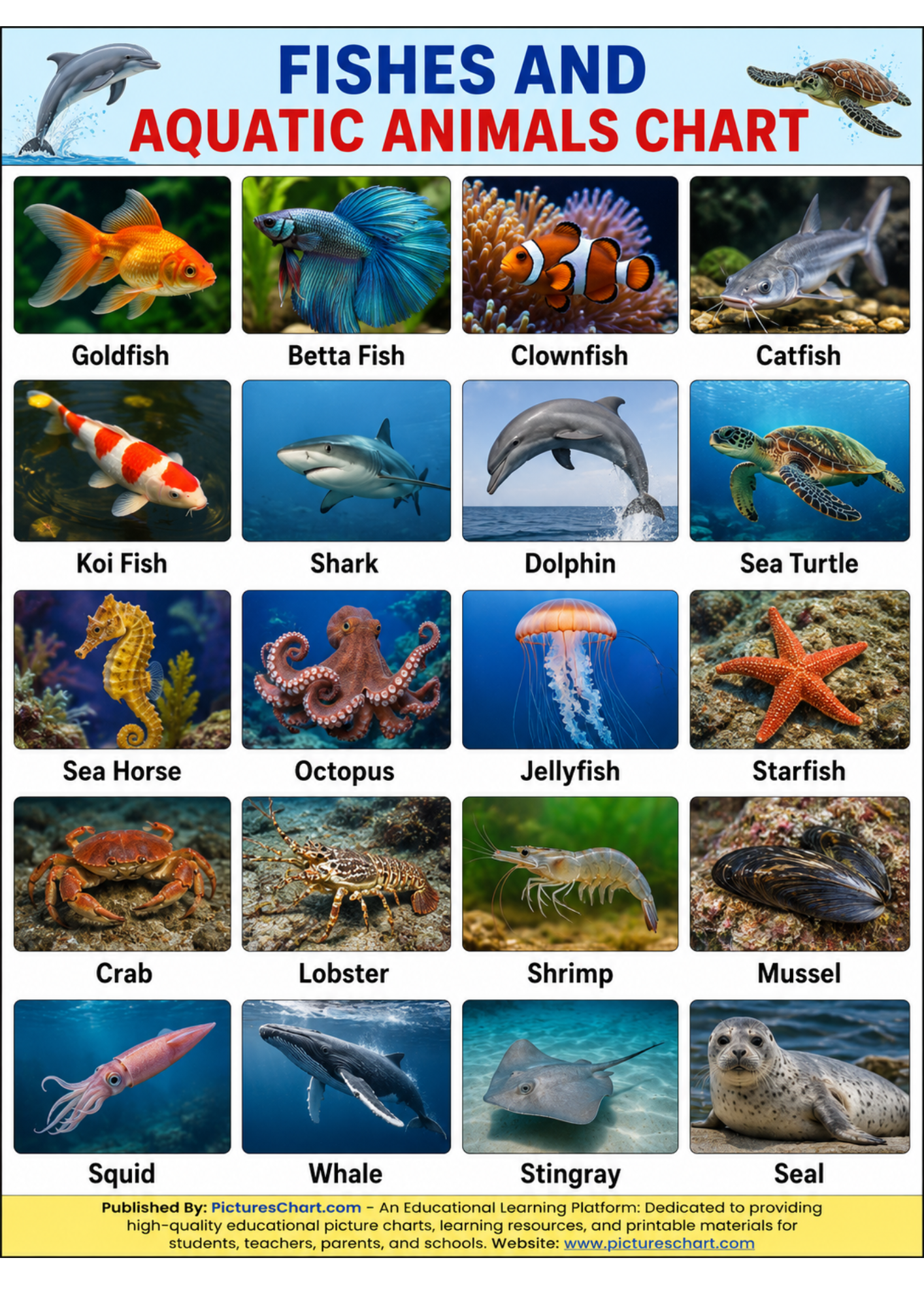 🐠 Fish & Aquatic Animals Chart pictureschart.com